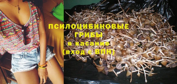 бошки Струнино