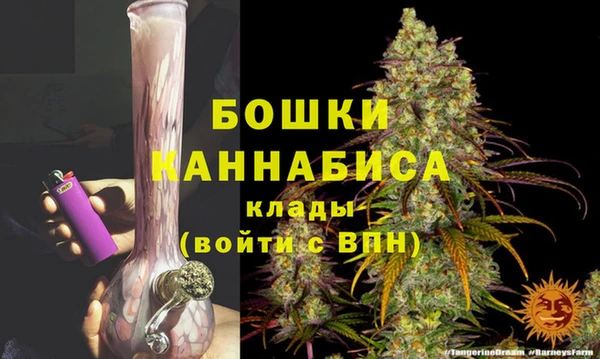 СК Строитель