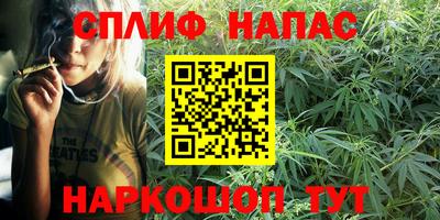 спиды Будённовск